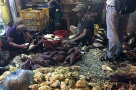 Hoa chuối bào trong điều kiện mất an toàn vệ sinh, sau đó được ngâm hóa chất tẩy trắng. (Ảnh: TTXVN)