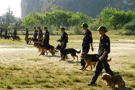 Huấn luyện chó nghiệp vụ trên thao trường. (Ảnh: Vũ Công Điền/TTXVN)