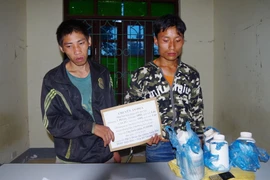 Hai đối tượng cùng tang vật tại cơ quan điều tra. (Ảnh: Xuân Tư/TTXVN)