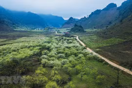Ảnh minh họa. (Nguồn: TTXVN)