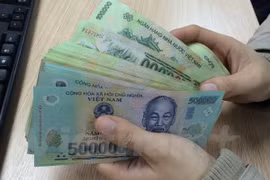 Ảnh minh họa. (Nguồn: Vietnam+)