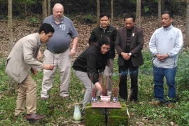 Cựu chiến binh Mỹ dâng hương tại nơi phát hiện, cất bốc hài cốt liệt sỹ tại xã Cam Thành, huyện Cam Lộ, tỉnh Quảng Trị. (Ảnh: Trịnh Bang Nhiệm/TTXVN)