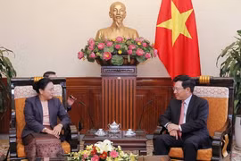 (Ảnh: Văn Điệp/TTXVN)