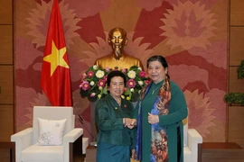 (Ảnh: Văn Điệp/TTXVN)