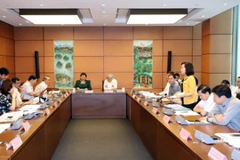 Đại biểu Quốc hội tỉnh Ninh Bình Nguyễn Thị Thanh phát biểu ở tổ. (Ảnh: Trọng Đức/TTXVN)