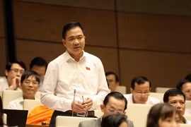 Đại biểu Quốc hội Thành phố Hồ Chí Minh Nguyễn Minh Đức phát biểu. (Ảnh: Phương Hoa/TTXVN)