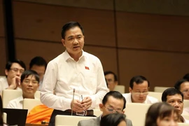 Đại biểu Quốc hội Thành phố Hồ Chí Minh Nguyễn Minh Đức phát biểu. (Ảnh: Phương Hoa/TTXVN)