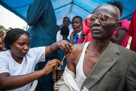 Tiêm phòng bệnh sốt vàng da cho người dân ở Kinshasa, Cộng hòa Dân chủ Congo ngày 20/7/2016. (Nguồn: AFP/TTXVN)