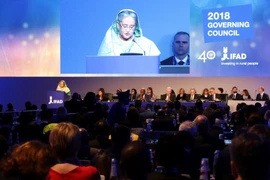 Quang cảnh hội nghị. (Ảnh: Ngự Bình/Vietnam+)