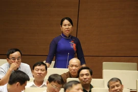 Đại biểu Quốc hội tỉnh Hậu Giang Nguyễn Thanh Thủy chất vấn Phó Thủ tướng Vương Đình Huệ. (Ảnh: Phương Hoa/TTXVN)