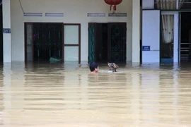 Nhiều ngôi nhà ở thành phố Hà Giang bị ngập chìm sâu trong biển nước. (Ảnh: Minh Tâm/Vietnam+)