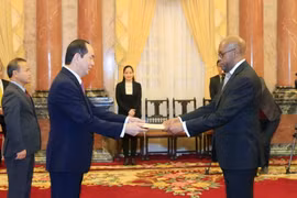 Đại sứ Cộng hòa Zambia Walubita Imakando trình Quốc thư lên Chủ tịch nước Trần Đại Quang. (Ảnh: Nhan Sáng/TTXVN)