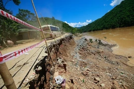 (Ảnh: Quang Quyết/TTXVN)