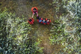 Những em bé Mông chơi đùa dưới tán hoa mận trong thung lũng mận Nà Ka, Mộc Châu, Sơn La. (Ảnh: Trọng Đạt/TTXVN)