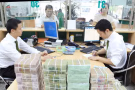 Ảnh minh họa. (Nguồn: TTXVN)