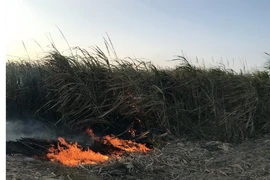 Hiện trường vụ cháy. (Ảnh: Cao Nguyên/TTXVN)