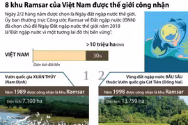 Tám khu Ramsar của Việt Nam được thế giới công nhận.