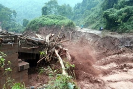 (Ảnh minh họa: Phan Tuấn Anh/TTXVN)