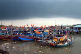 Ảnh minh họa. (Nguồn: TTXVN)
