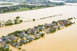 Mưa lũ gây ngập lụt tại huyện Nho Quan, Ninh Bình. (Ảnh: Minh Đức/TTXVN)