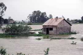 Ảnh minh họa. (Nguồn: TTXVN)