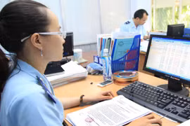 Ảnh minh họa. (Nguồn: TTXVN)