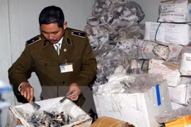 Ảnh minh họa. (Nguồn: TTXVN)