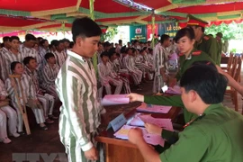 Ảnh minh họa. (Nguồn: TTXVN)