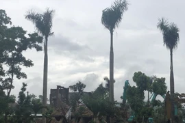 Hiện trường vụ tháo dỡ công trình vi phạm ở Ba Vì. (Ảnh: Minh Nghĩa/TTXVN)