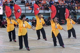 Các bậc cao niên trình diễn dưỡng sinh võ cổ truyền. (Ảnh: Xuân Dự/TTXVN)