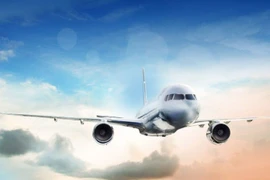 (Nguồn: Thewillnigeria)