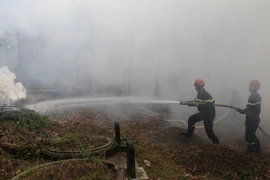 Diễn tập chữa cháy rừng. (Ảnh minh họa. Nguồn: TTXVN)