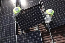 Lắp đặt các tấm pin năng lượng Mặt Trời của Công ty năng lượng Goldin. (Nguồn: AFP/TTXVN)
