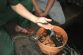 Lực lượng chức năng kiểm tra tang vật. (Ảnh: Nguyễn Hoàng/TTXVN)