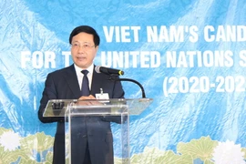 Phó Thủ tướng Chính phủ, Bộ trưởng Ngoại giao Phạm Bình Minh phát biểu tại buổi gặp gỡ, vận động. (Ảnh: Hoài Thanh/TTXVN)
