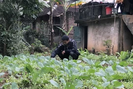 Người dân tại điểm tái định cư đô thị tại bản Phiêng Nèn 2, xã Mường Giàng, huyện Quỳnh Nhai, Sơn La. (Nguồn: TTXVN)