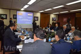 Quang cảnh một hội thảo kinh tế thương mại Việt Nam-Ai Cập. (Ảnh: Nguyễn Trường/Vietnam+)