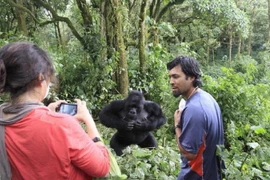 Du khách tại Công viên thú hoang dã Virunga. (Nguồn: Africanews)