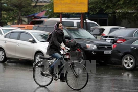 Ảnh minh họa. (Nguồn: TTXVN)