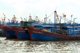 Ảnh minh họa. (Nguồn: TTXVN)