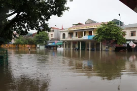 Hình ảnh các địa phương bị ngập, úng do mưa lớn diện rộng kéo dài