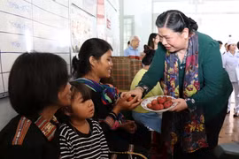 Phó Chủ tịch Quốc hội Tòng Thị Phóng thăm và tặng quà cho trẻ em xã Ayun, huyện Mang Yang. (Ảnh: Hoài Nam/TTXVN)