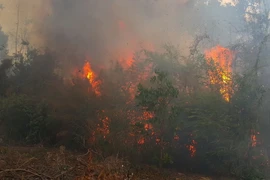 Đám cháy bùng phát mạnh tại lâm phần Ban quản lý rừng phòng hộ Ia Grai, thuộc địa phận xã Ia Chía, huyện Ia Grai, tỉnh Gia Lai. (Ảnh: Hồng Điệp/TTXVN)