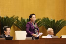 Chủ tịch Quốc hội Nguyễn Thị Kim Ngân phát biểu. (Ảnh: Phương Hoa/TTXVN)