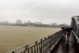 Ảnh minh họa. (Nguồn: TTXVN)