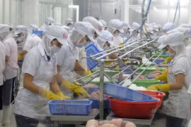 Chế biến thủy sản xuất khẩu tại Khu Công nghiệp Mỹ Tho. (Ảnh: Minh Trí/TTXVN)