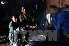 (Ảnh minh họa: Văn Dũng/TTXVN)