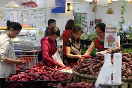 Ảnh minh họa. (Nguồn: TTXVN)