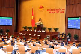 Quốc hội biểu quyết thông qua Nghị quyết về chương trình giám sát của Quốc hội năm 2019. (Ảnh: Trọng Đức/TTXVN) 