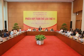 Quang cảnh phiên họp. (Ảnh: Dương Giang/TTXVN)
